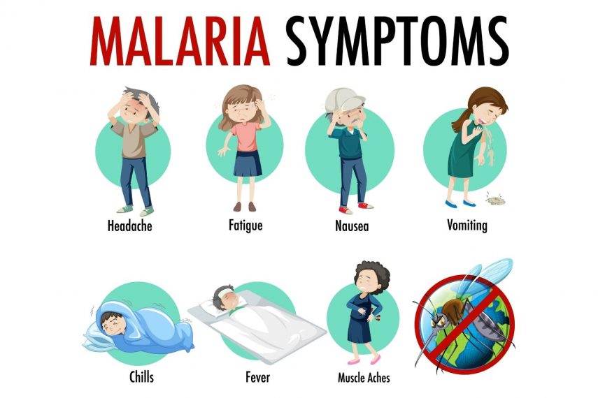 malaria-causes-symptoms-and-treatment-regency-medical-centre